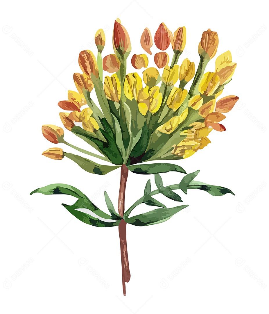 Desenho De Flor Com Frutinhas Em Aquarela Vetor EPS