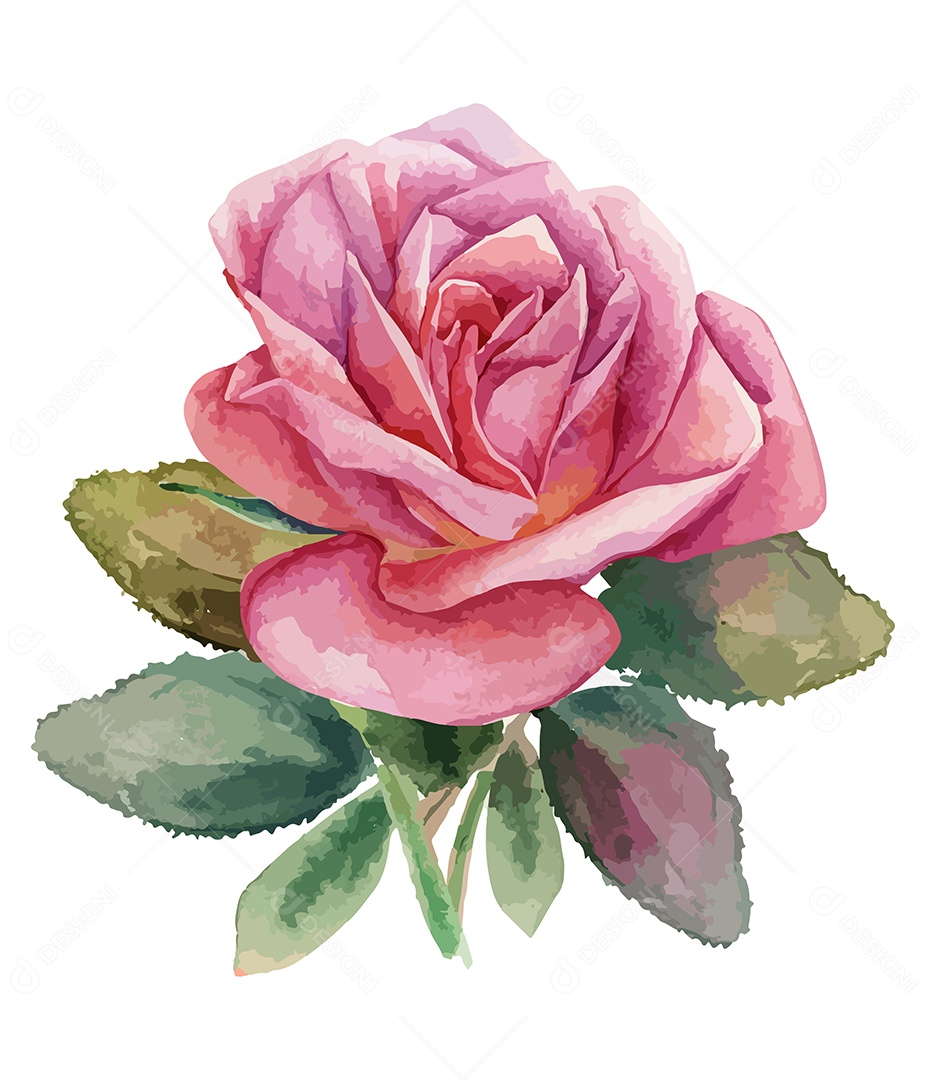 Desenho De Flor Em Aquarela Vetor EPS