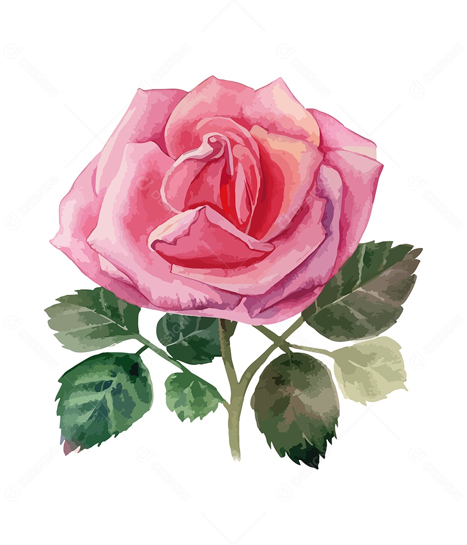 Desenho De Flor Em Aquarela Vetor EPS