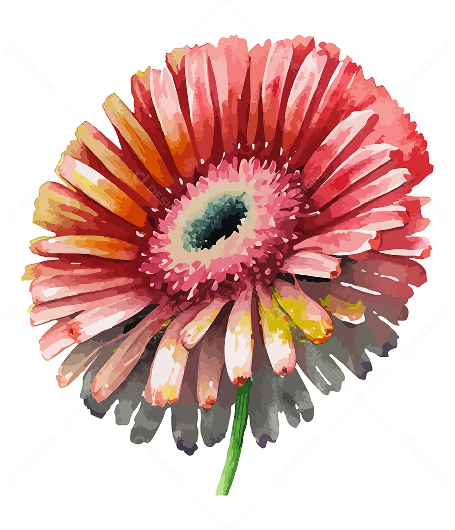 Desenho De Flor Vermelha Em Aquarela Desenhada Á Mão Vetor EPS