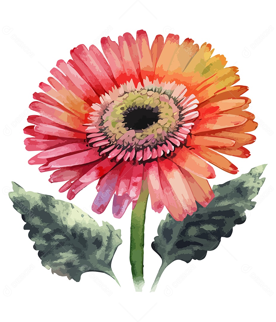 Desenho De Flor Vermelha Em Aquarela Desenhada Á Mão Vetor EPS