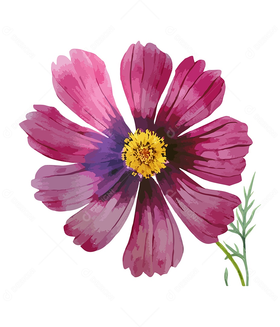 Desenho De Flor Em Aquarela Desenhada Á Mão Vetor EPS