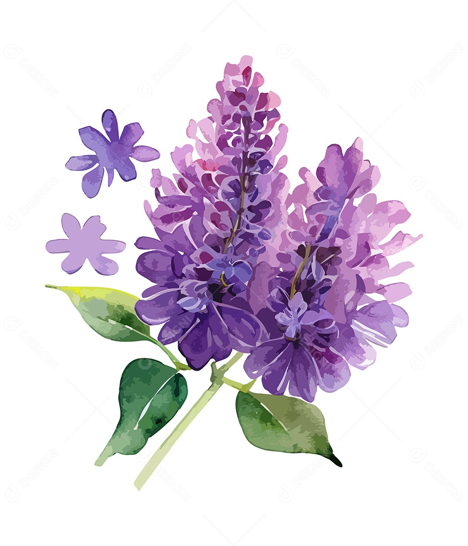 Desenho De Flor Roxa Em Aquarela Desenhada Á Mão Vetor EPS