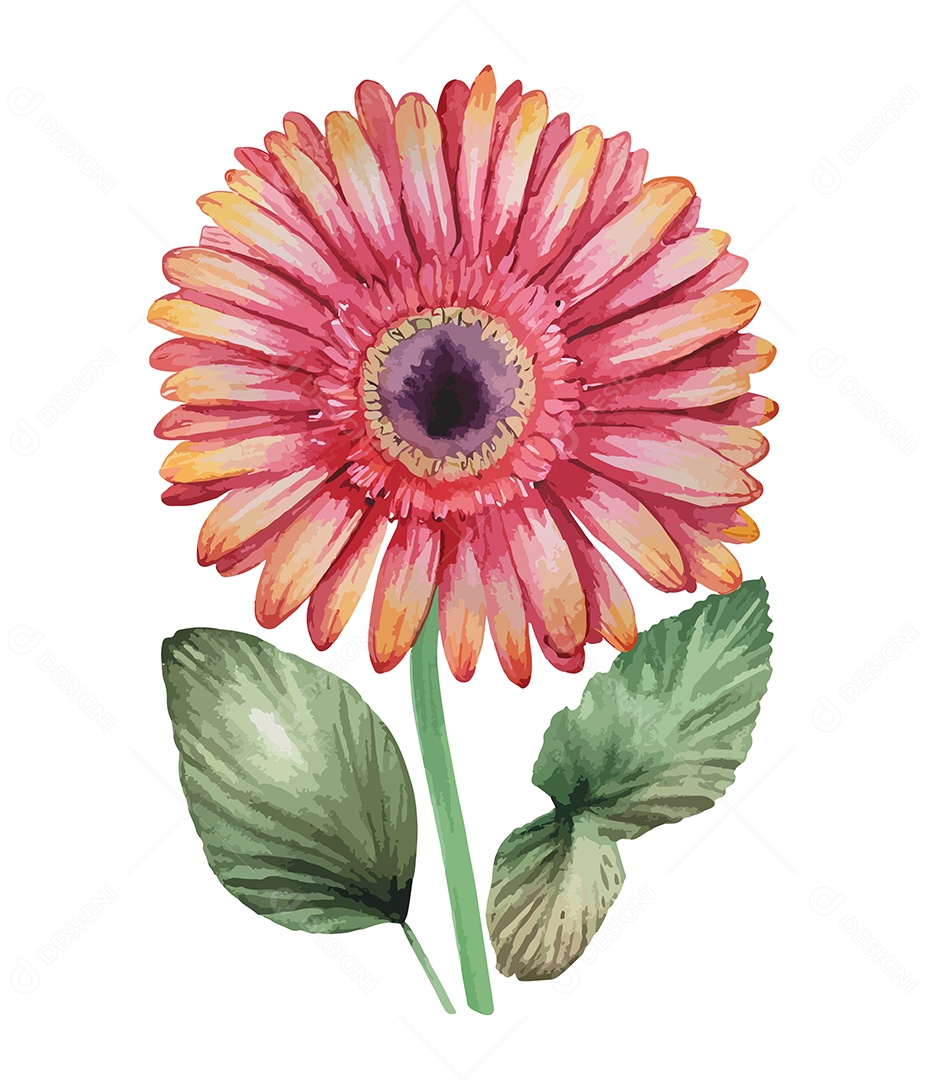 Desenho De Flor Vermelha Em Aquarela Desenhada Á Mão Vetor EPS