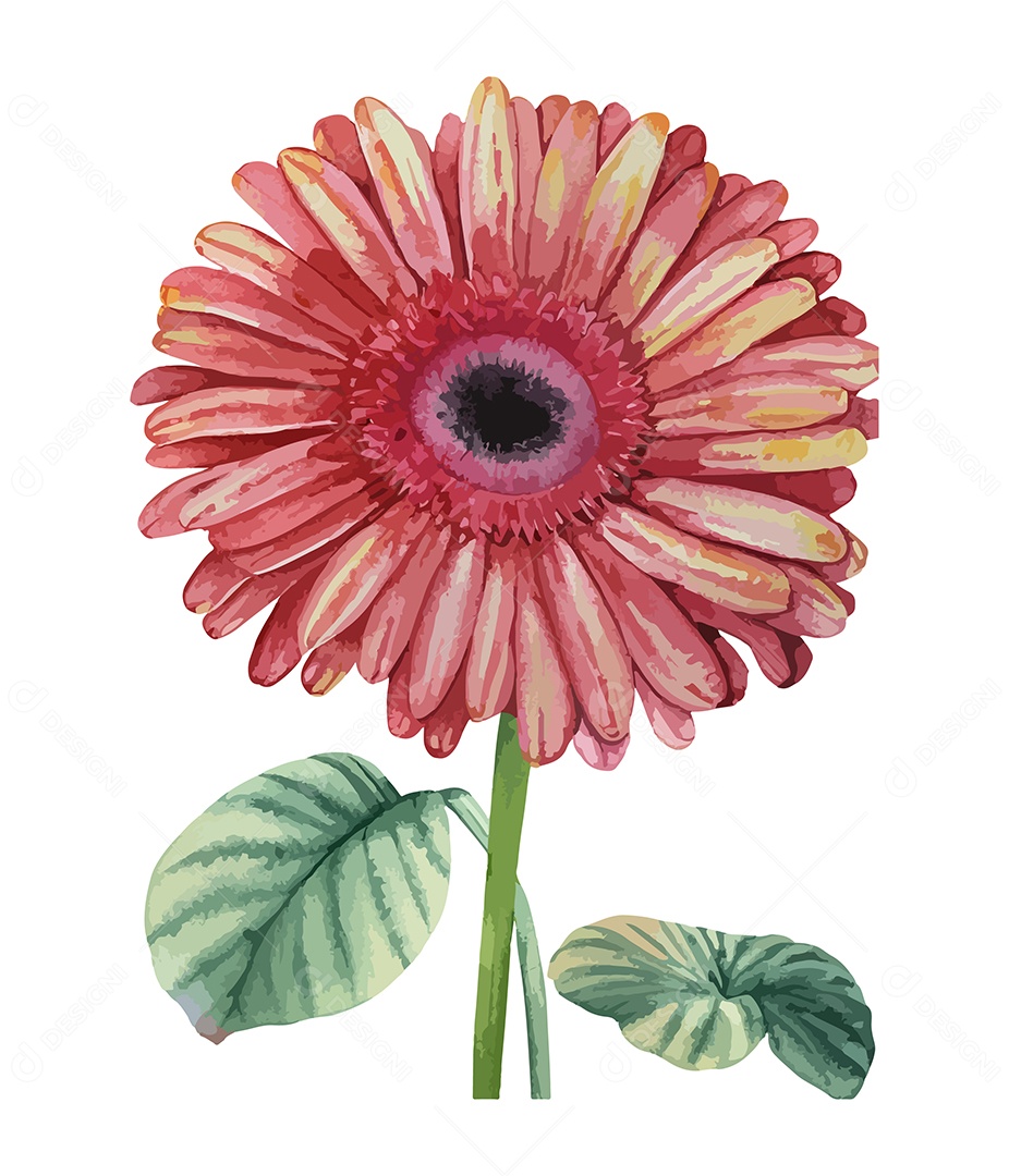 Desenho De Flor Vermelha Em Aquarela Desenhada Á Mão Vetor EPS