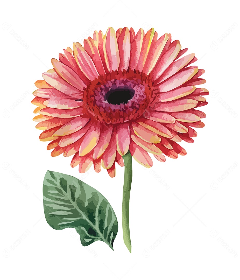 Flor Gerbera Vermelha De Aquarela Desenhada A Mão Vetor EPS