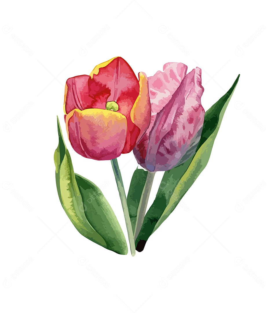 Flor Gerbera Vermelha De Aquarela Desenhada A Mão Vetor EPS