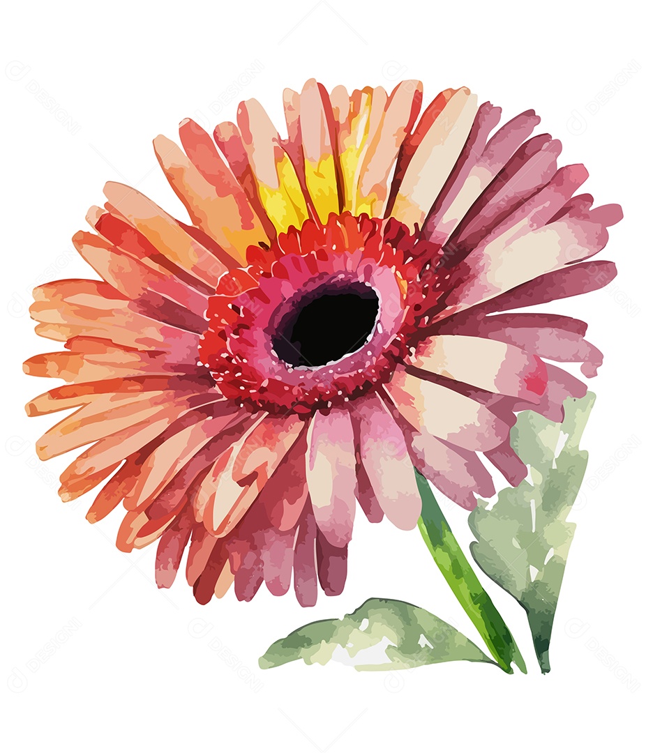 Flor Gerbera Vermelha De Aquarela Desenhada A Mão Vetor EPS