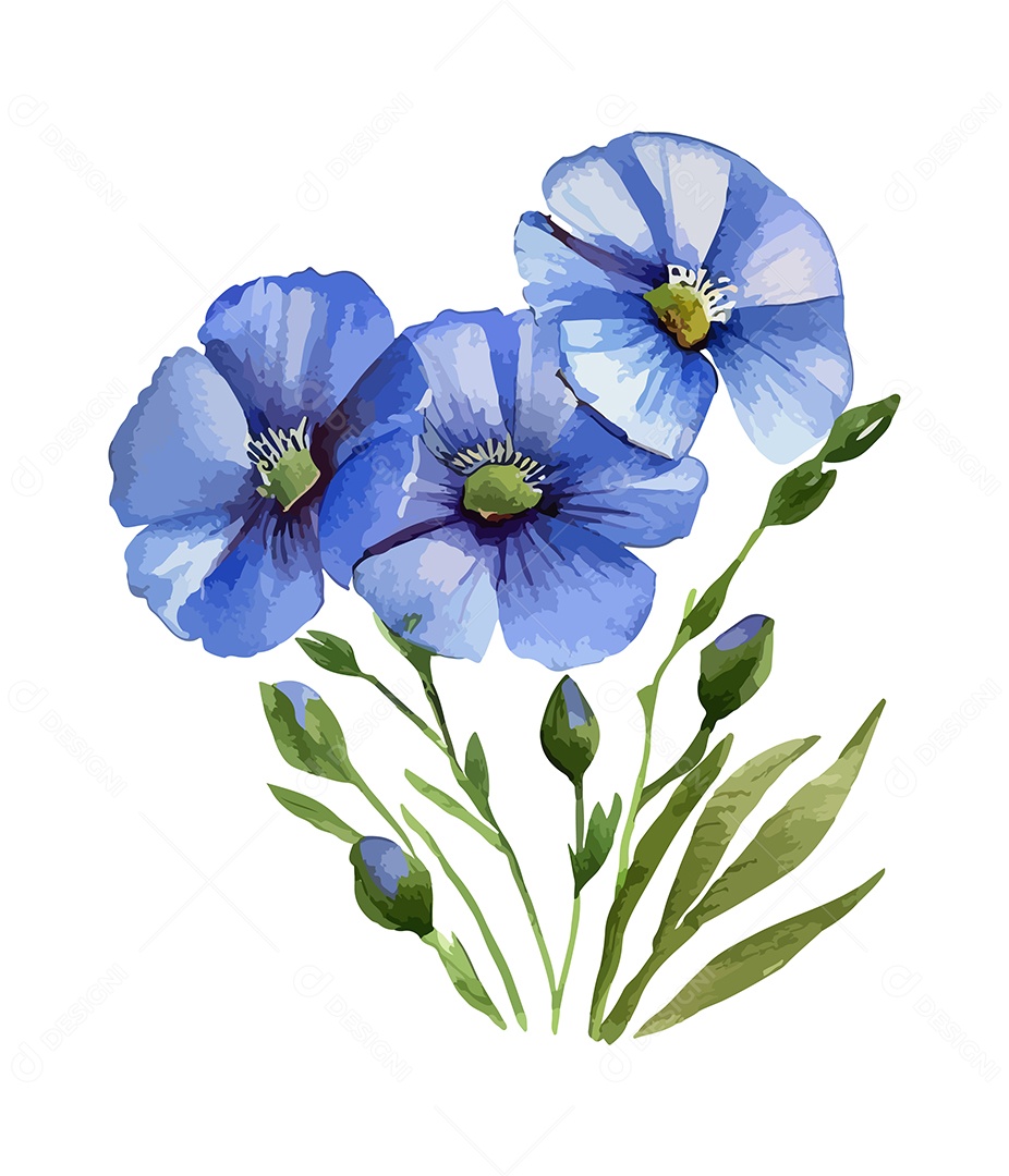 Flores De Sementes De Linho Aquarela Desenhada A Mão Vetor EPS