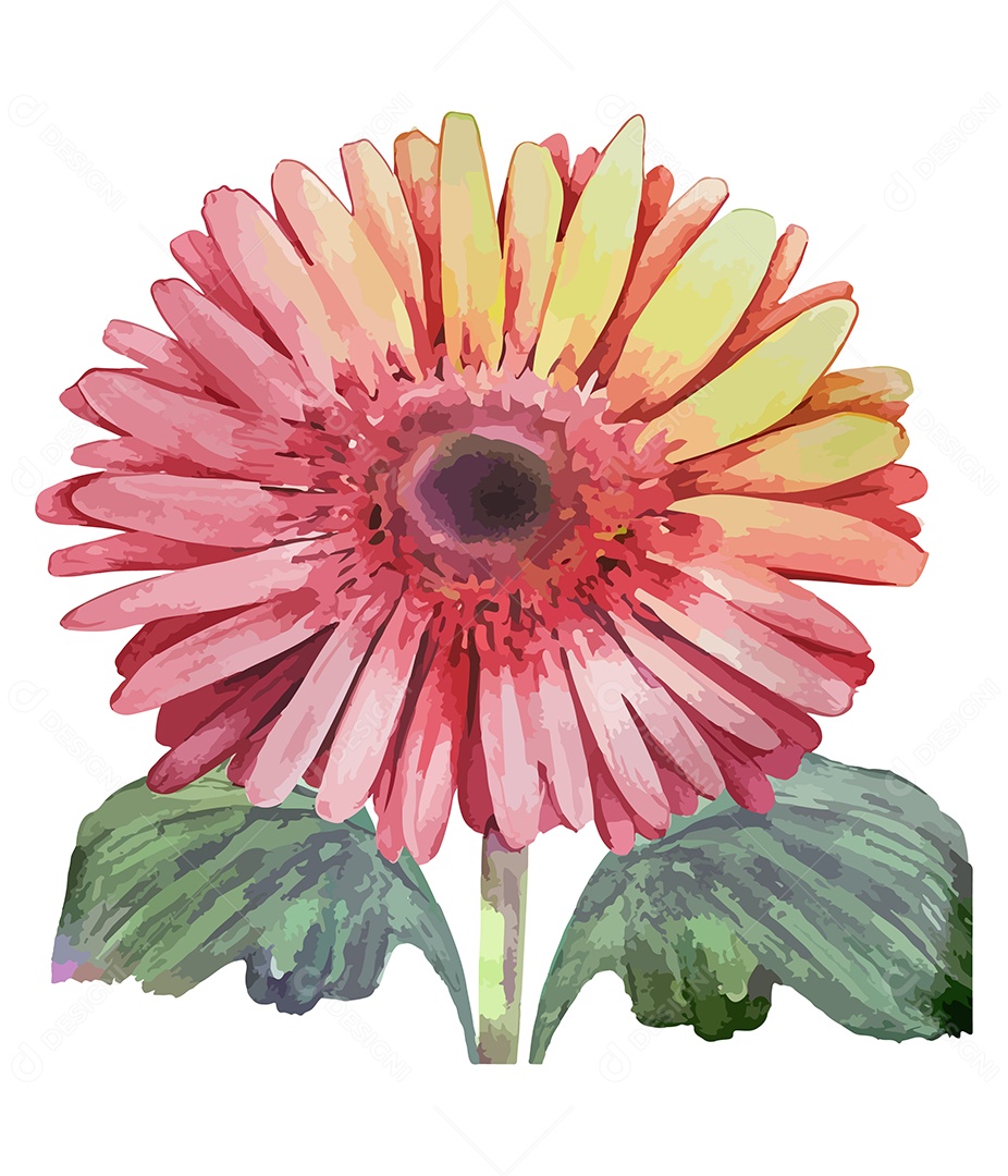 Flor Gerbera Vermelha De Aquarela Desenhada A Mão Vetor EPS