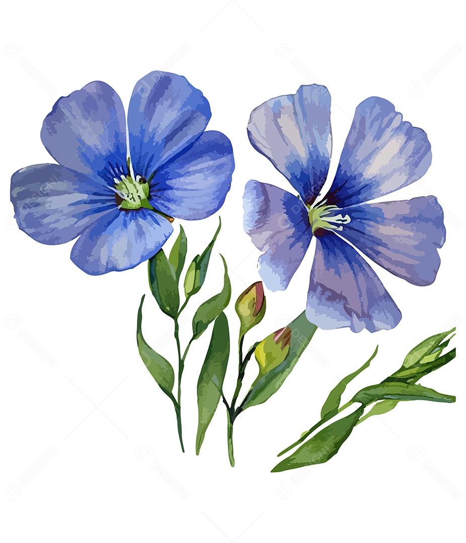 Flores De Sementes De Linho Aquarela Desenhada A Mão Vetor EPS