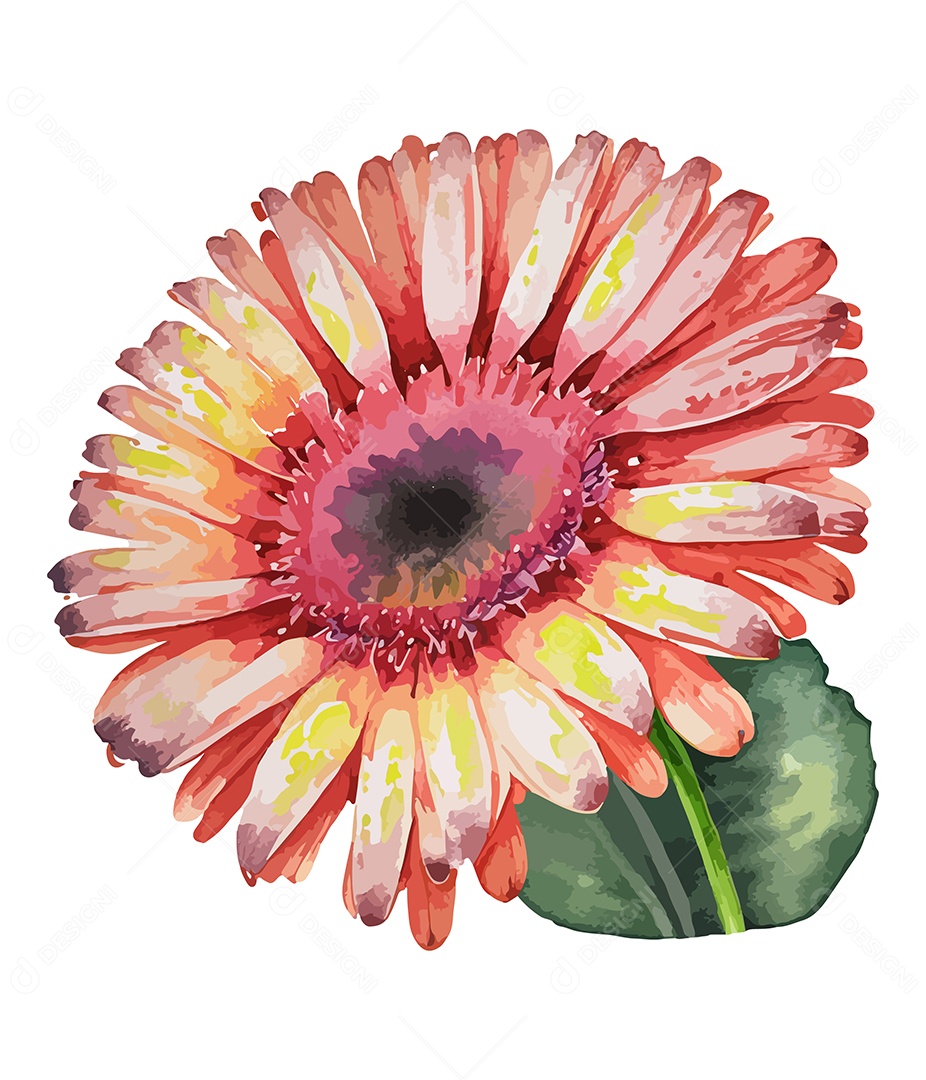 Flor Gerbera Vermelha De Aquarela Desenhada A Mão Vetor EPS