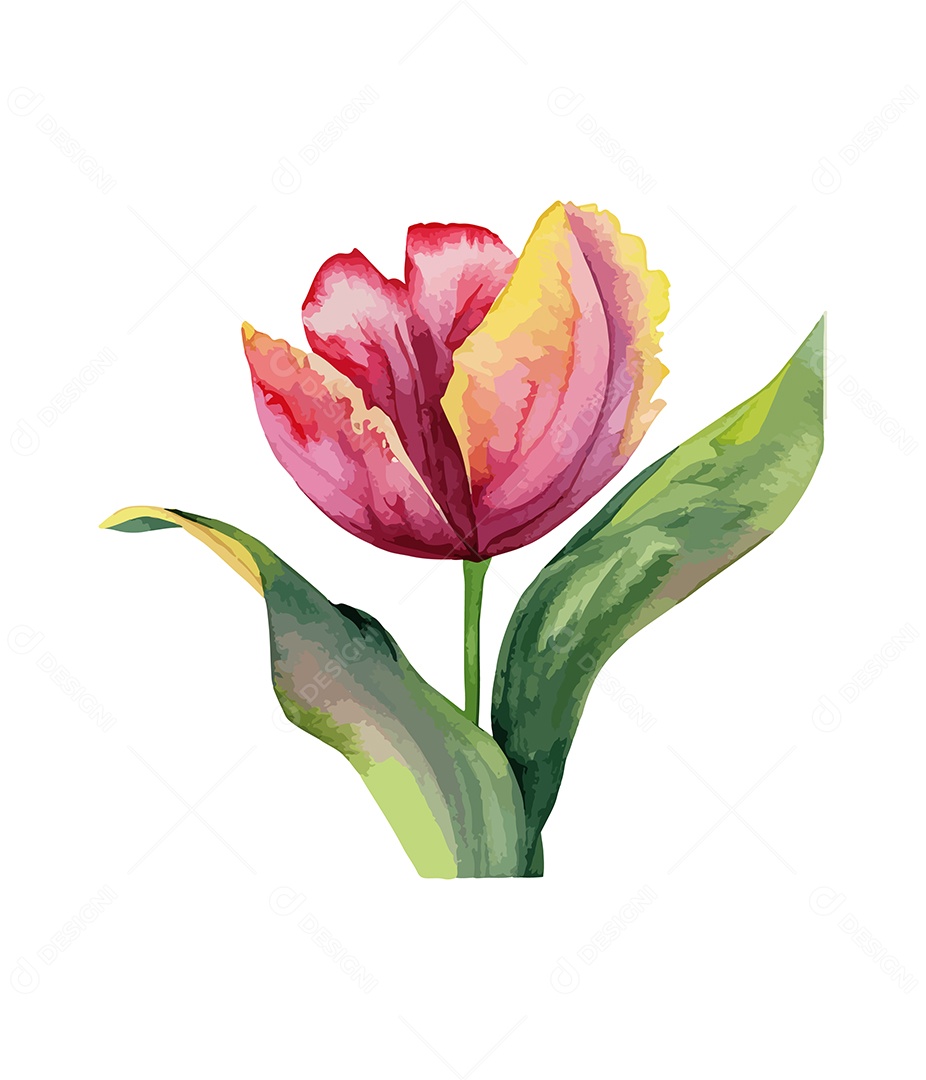 Flor Gerbera Vermelha De Aquarela Desenhada A Mão Vetor EPS