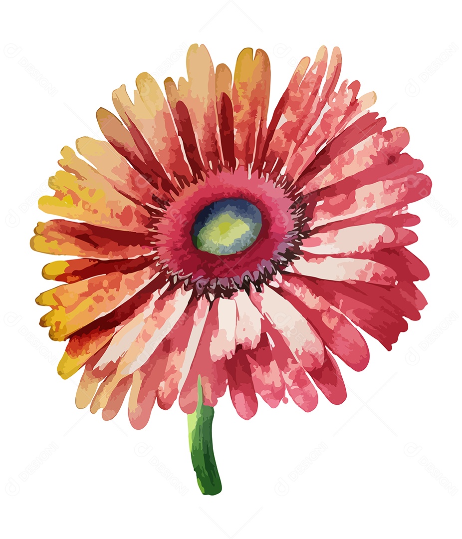 Flor Gerbera Vermelha De Aquarela Desenhada A Mão Vetor EPS