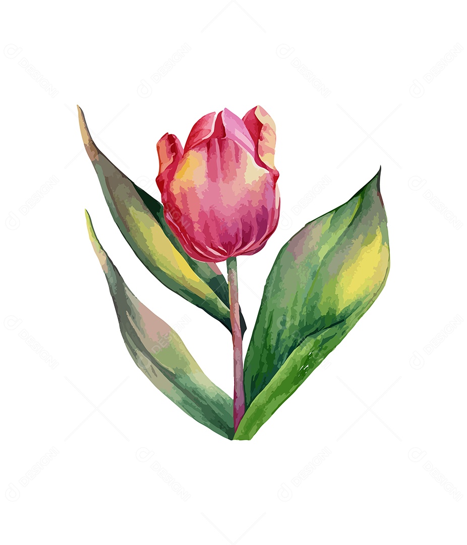 Flor Gerbera Vermelha De Aquarela Desenhada A Mão Vetor EPS