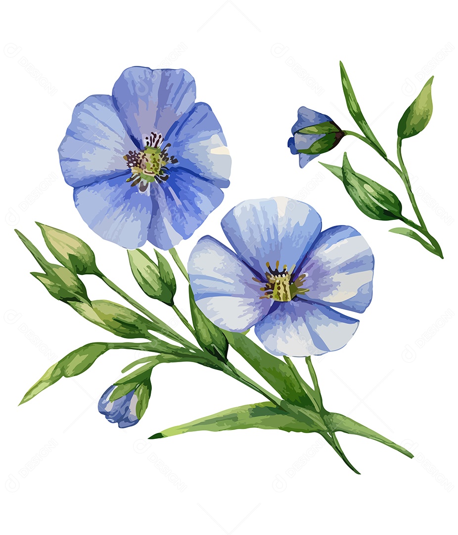 Flores De Sementes De Linho Aquarela Desenhada A Mão Vetor EPS