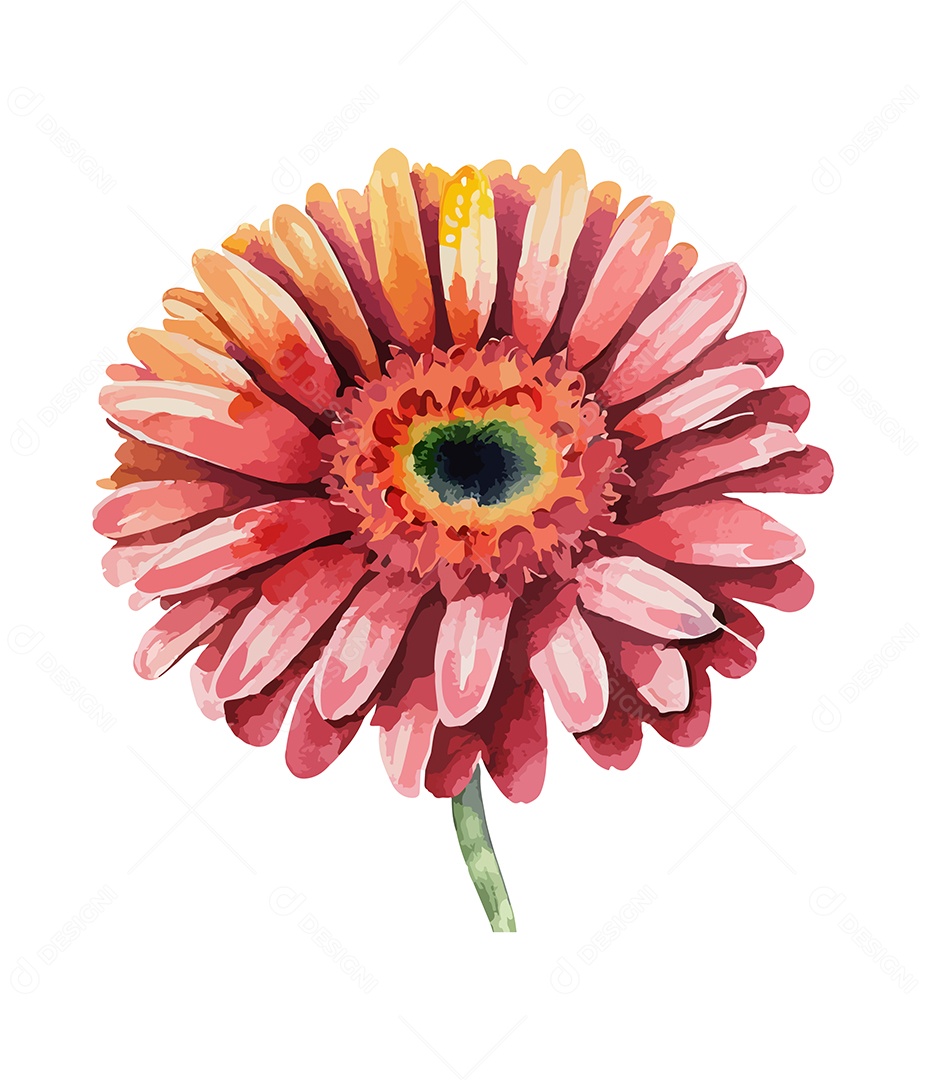 Flor Gerbera Vermelha De Aquarela Desenhada A Mão Vetor EPS