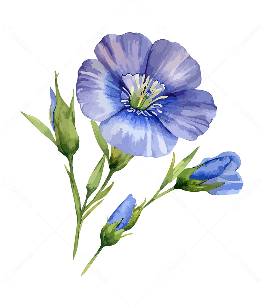 Flores De Sementes De Linho Aquarela Desenhada A Mão Vetor EPS