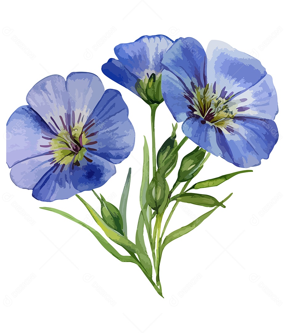 Flores De Sementes De Linho Aquarela Desenhada A Mão Vetor EPS