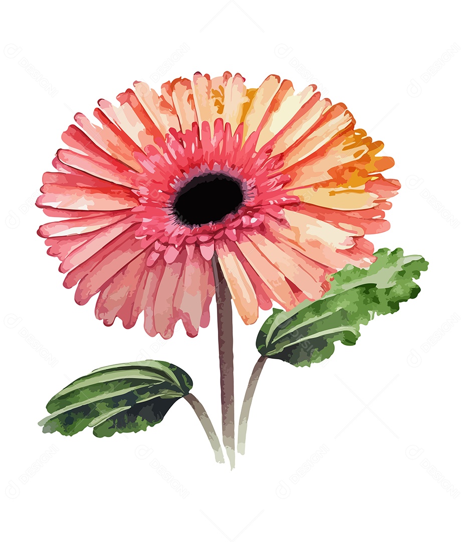 Flor Gerbera Vermelha De Aquarela Desenhada A Mão Vetor EPS
