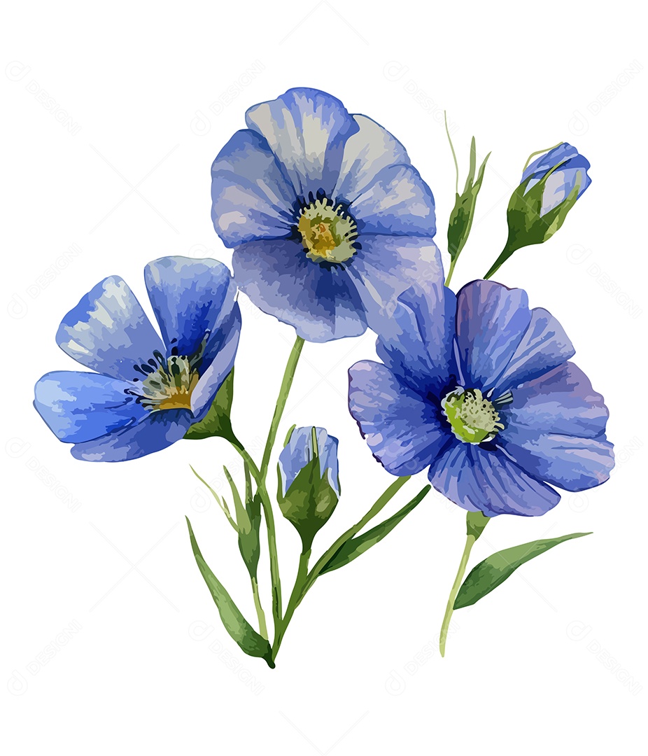 Flores De Sementes De Linho Aquarela Desenhada A Mão Vetor EPS