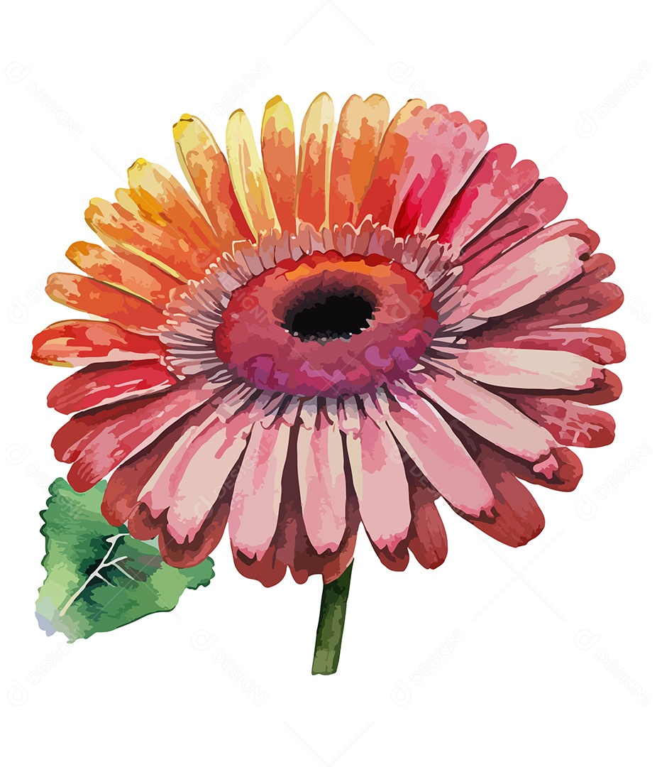 Flor Gerbera Vermelha De Aquarela Desenhada A Mão Vetor EPS