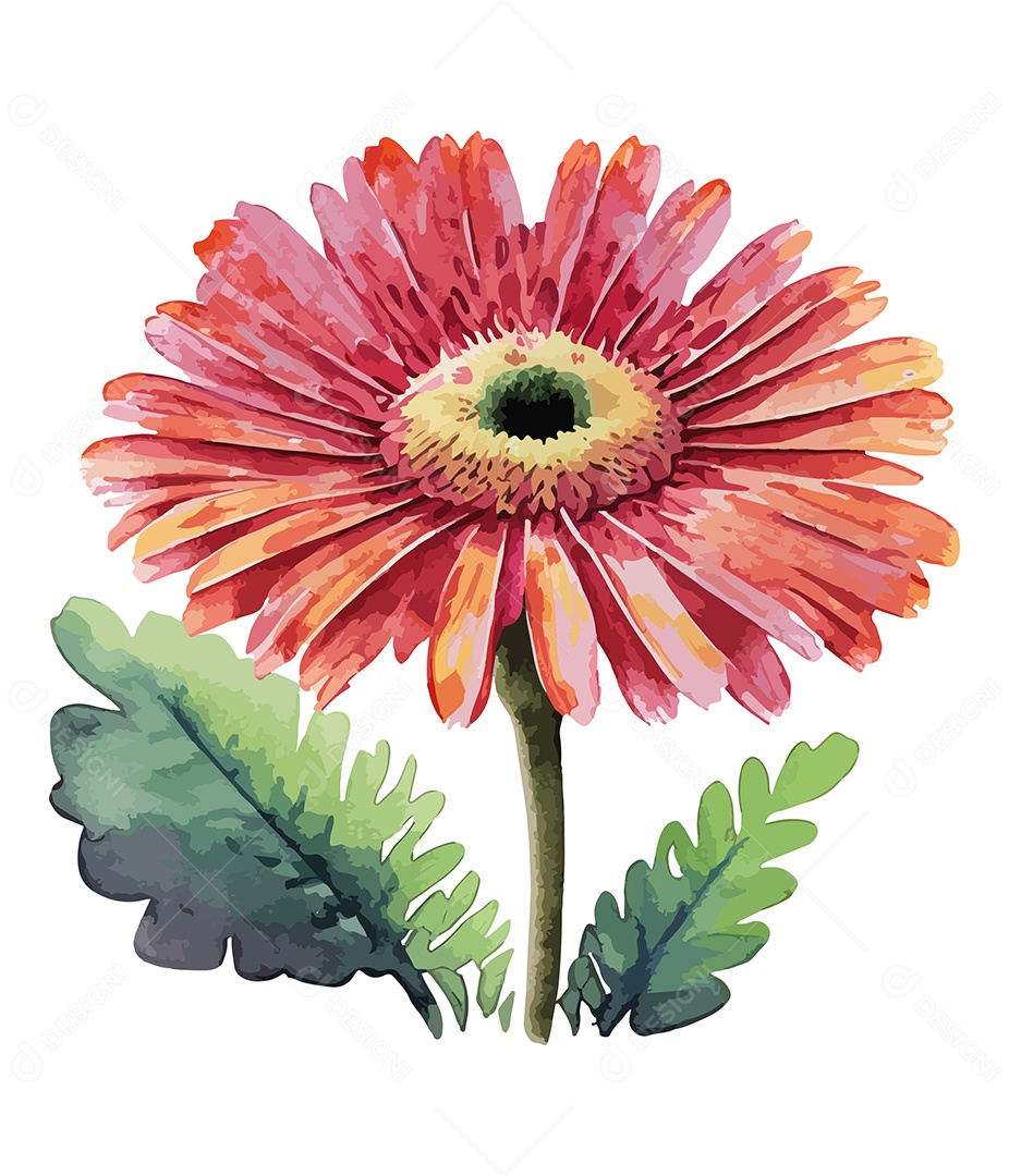 Flor Gerbera Vermelha De Aquarela Desenhada A Mão Vetor EPS