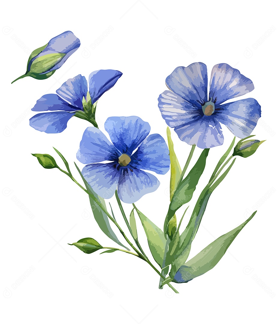 Flor De Sementes De Linho Aquarela Desenhada A Mão Vetor EPS