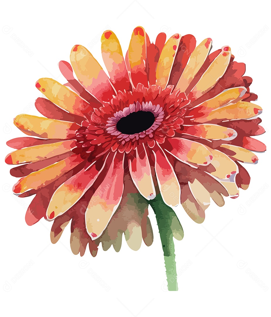 Flor Gerbera Vermelha De Aquarela Desenhada A Mão Vetor EPS