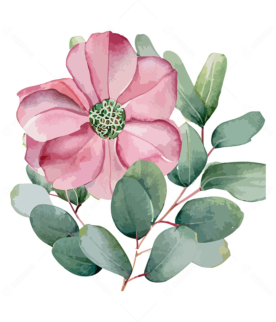 Flor De Aquarela Rosa Desenhada A Mão Vetor EPS