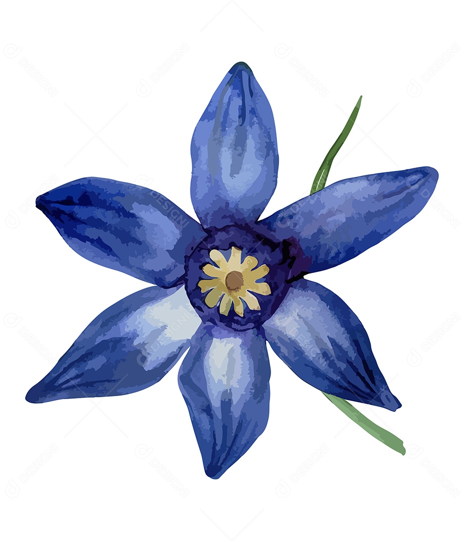 Flor De Wahlenbergia Gloriosa De Aquarela Desenhada A Mão Vetor EPS