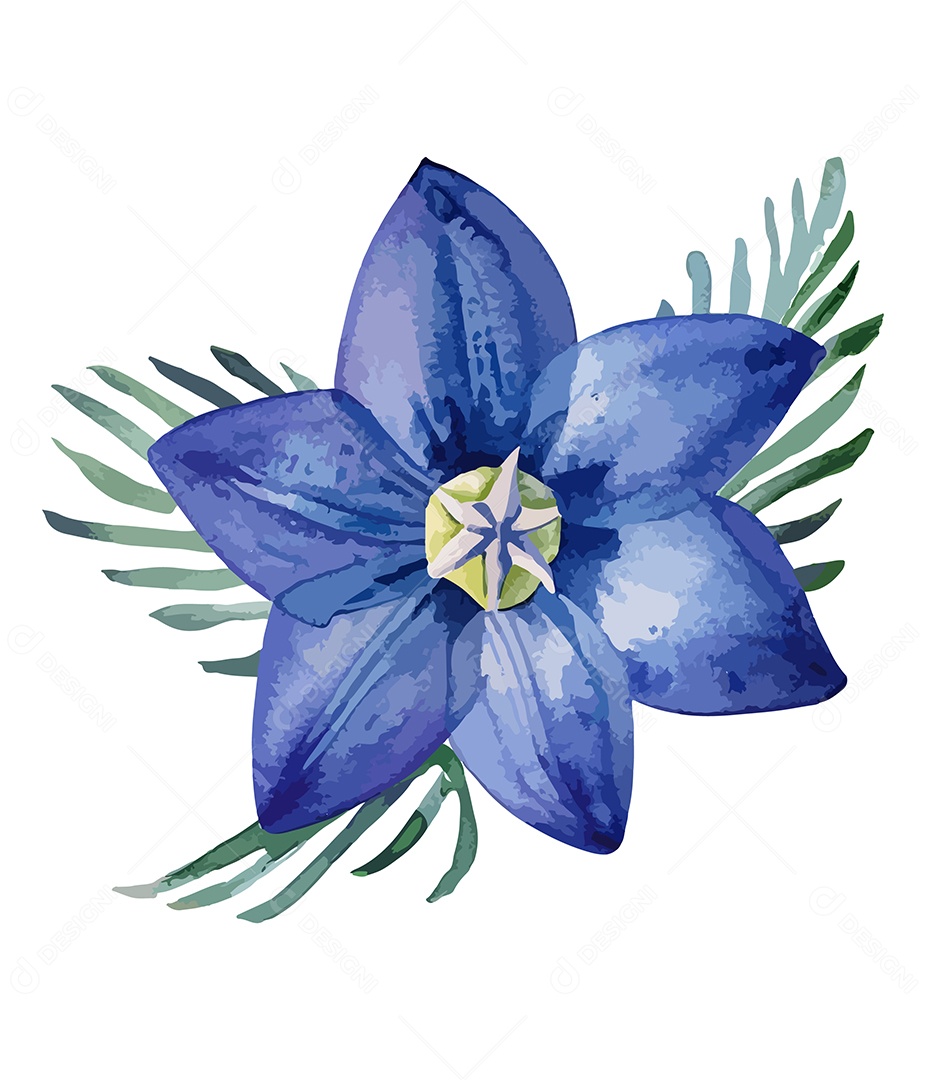 Flor De Wahlenbergia Gloriosa De Aquarela Desenhada A Mão Vetor EPS