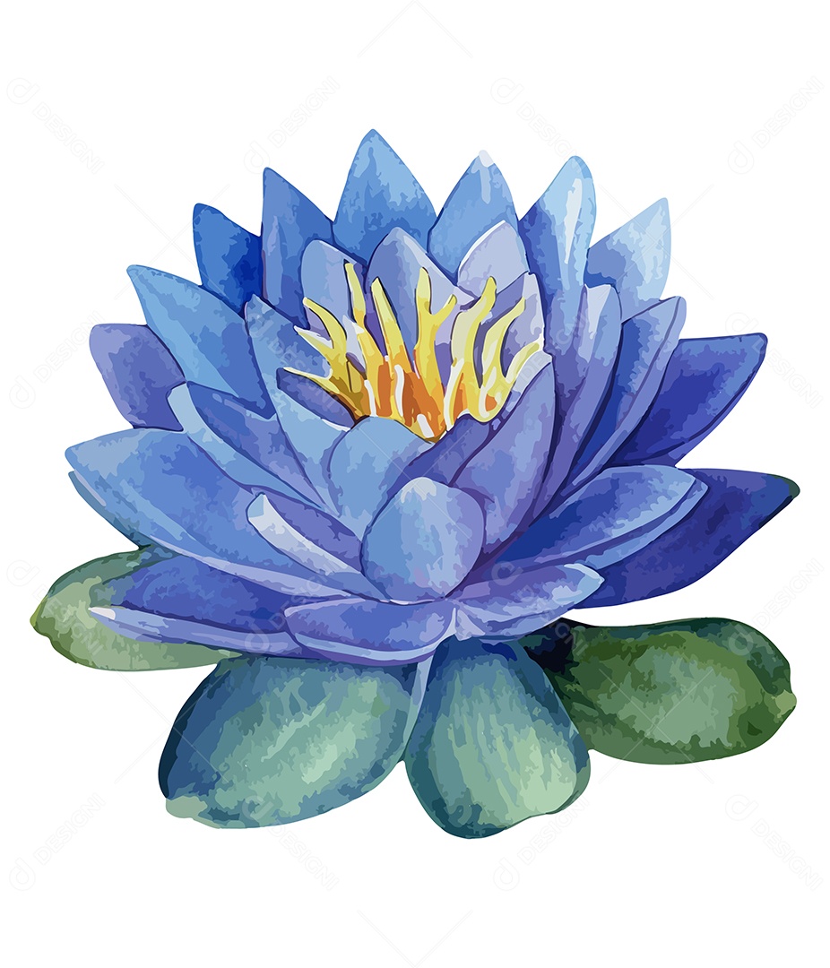 Flor De Lótus De Aquarela Desenhada A Mão Vetor EPS