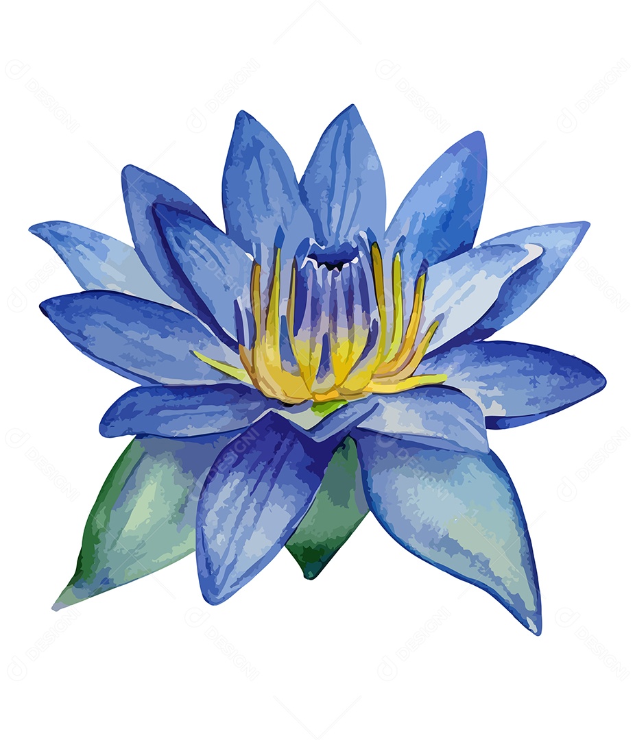 Flor De Lótus De Aquarela Desenhada A Mão Vetor EPS