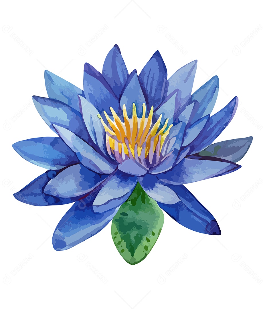 Flor De Lótus De Aquarela Desenhada A Mão Vetor EPS