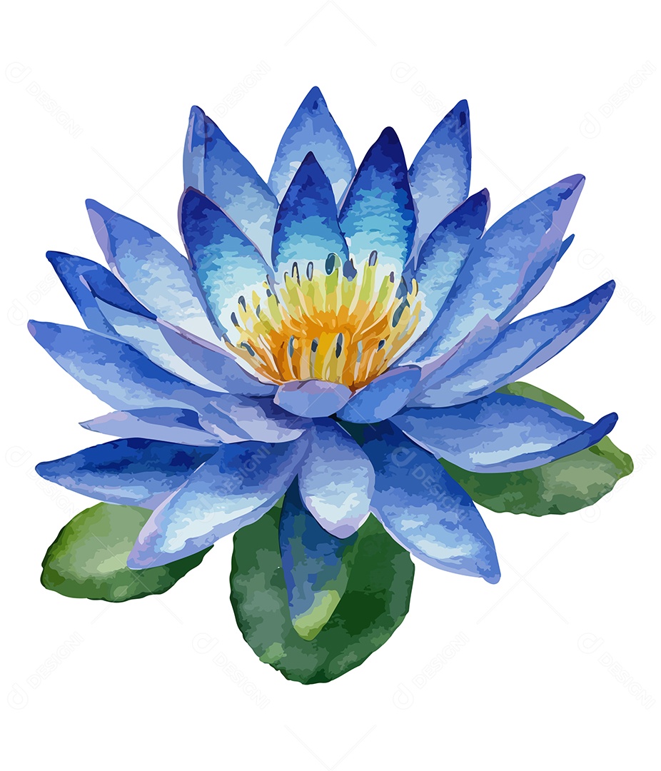 Flor De Lótus De Aquarela Desenhada A Mão Vetor EPS