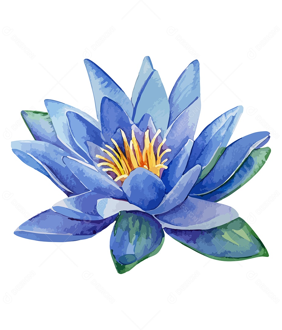 Flor De Lótus De Aquarela Desenhada A Mão Vetor EPS