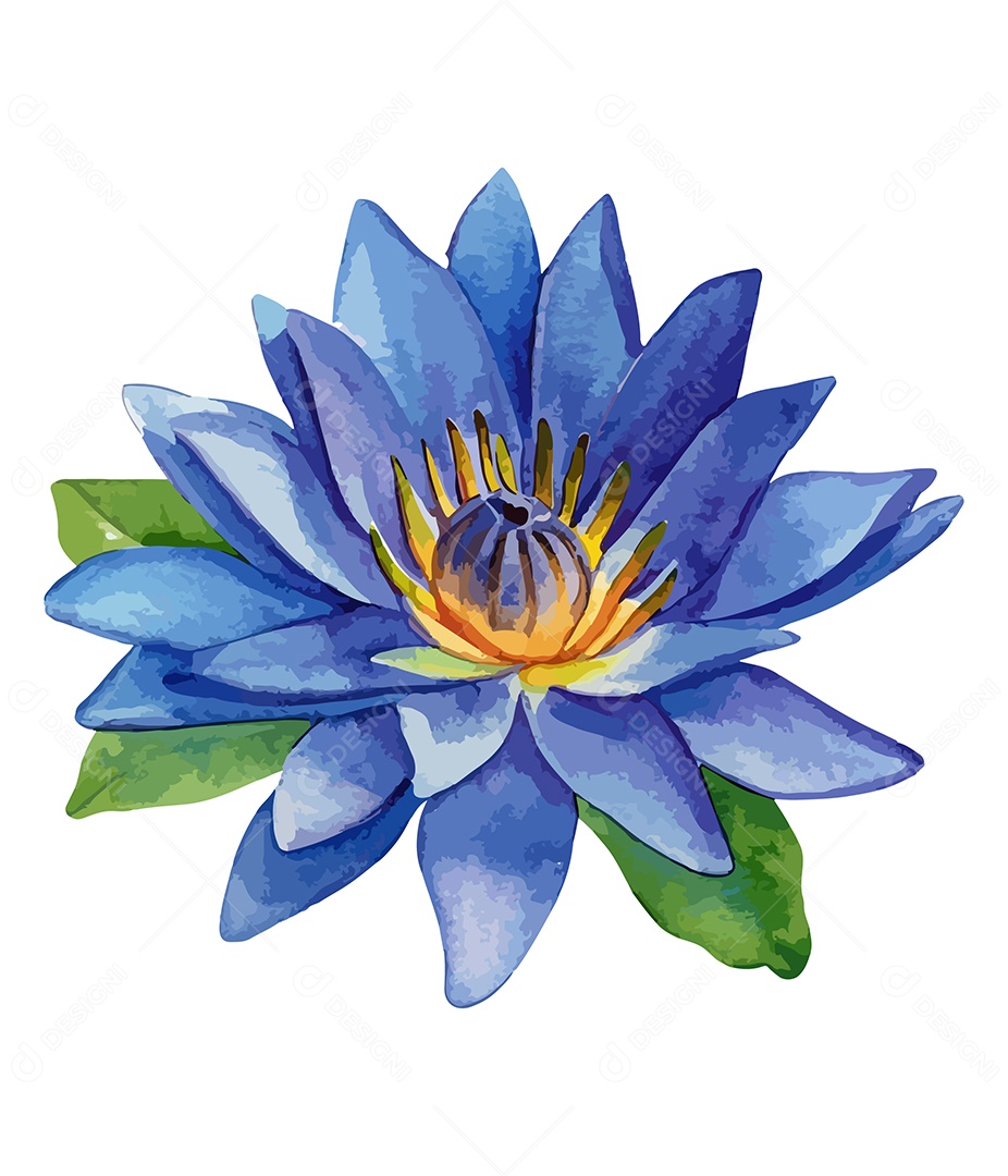 Flor De Lótus De Aquarela Desenhada A Mão Vetor EPS