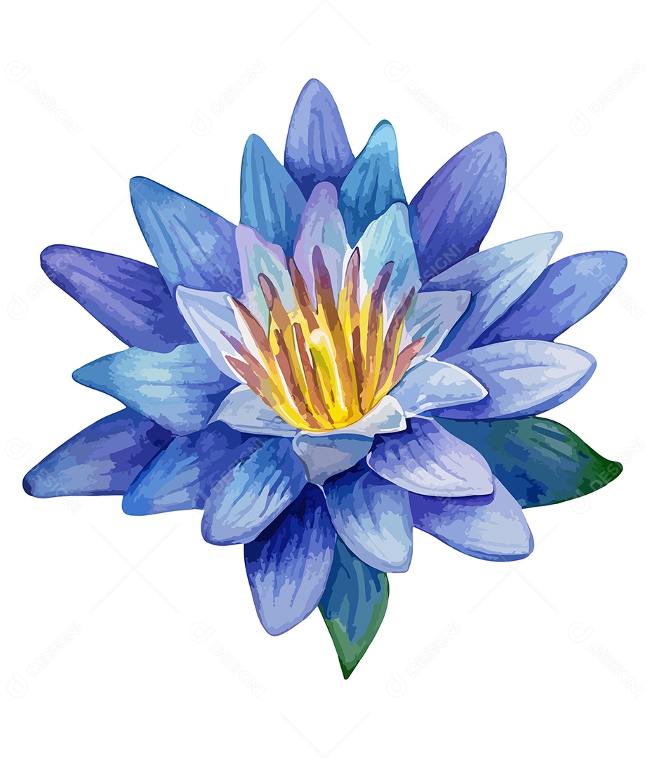 Flor De Lótus De Aquarela Desenhada A Mão Vetor EPS