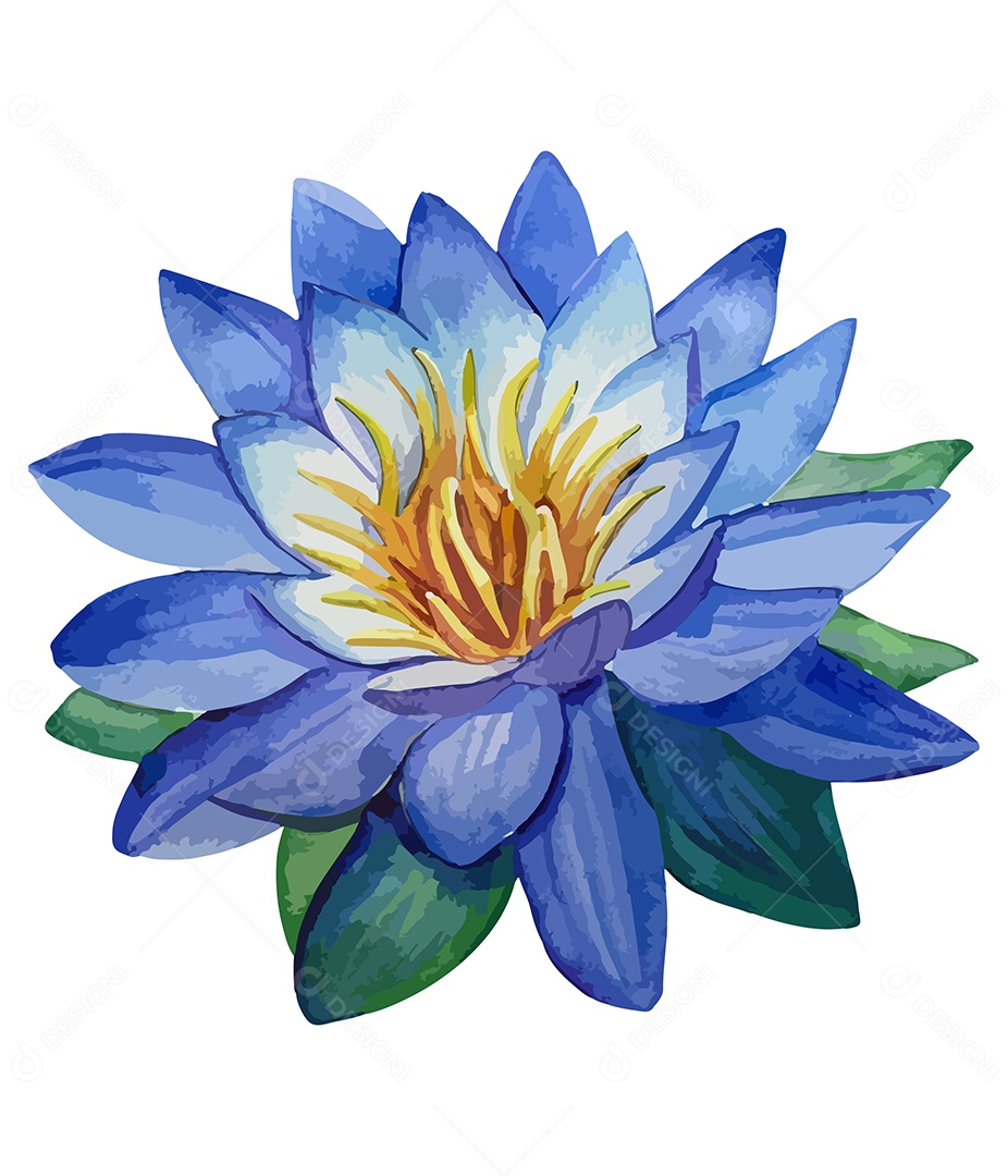 Flor De Lótus De Aquarela Desenhada A Mão Vetor EPS