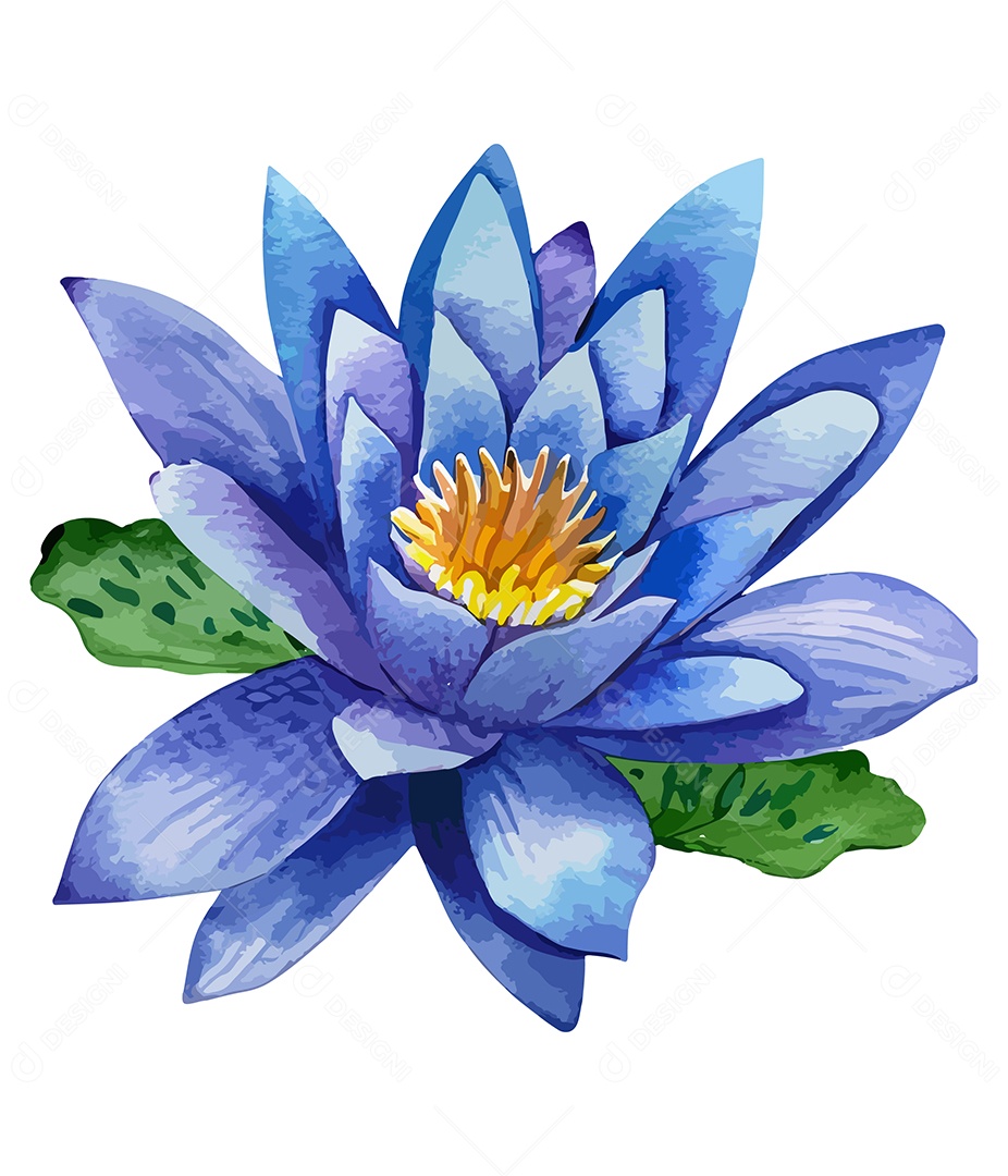 Flor De Lótus De Aquarela Desenhada A Mão Vetor EPS