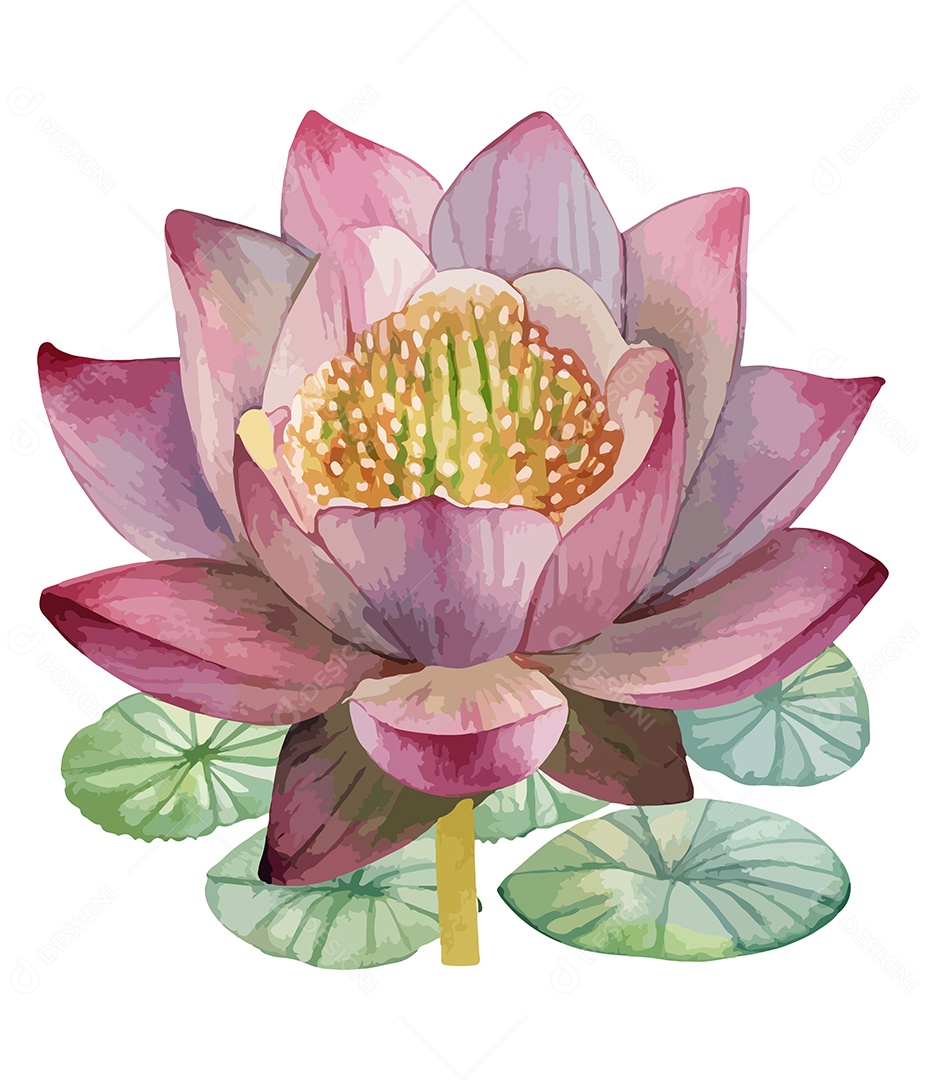 Flor De Aquarela Desenhada Rosa Vetor EPS