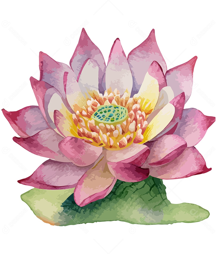 Flor De Aquarela Desenhada Rosa Vetor EPS