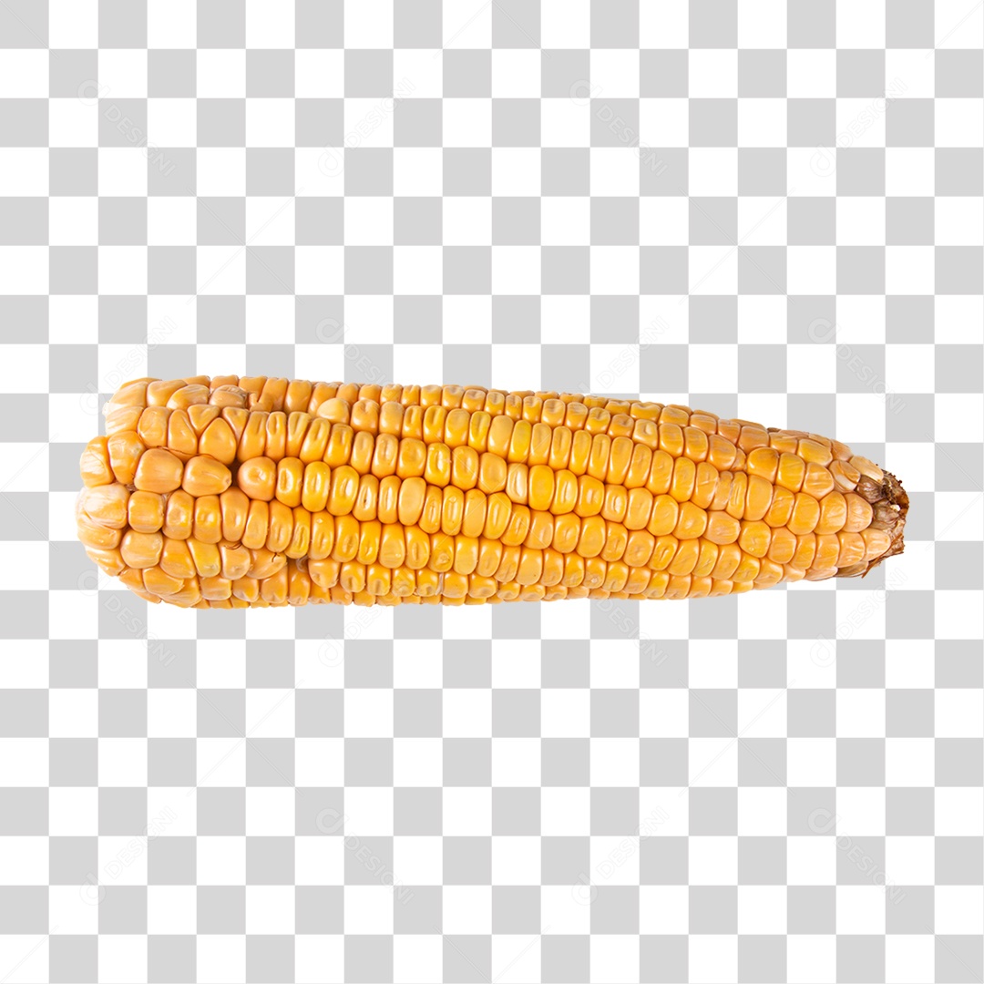 Espiga de Milho PNG Transparente