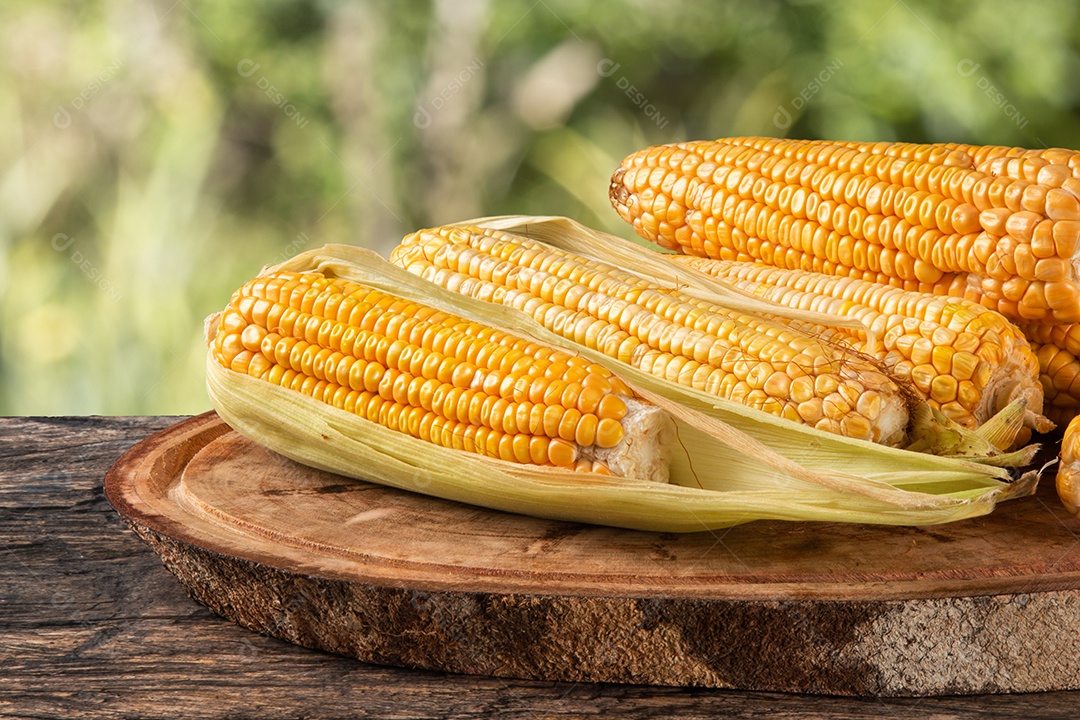 Milho amarelo fresco em madeira rústica e fundo desfocado verde.