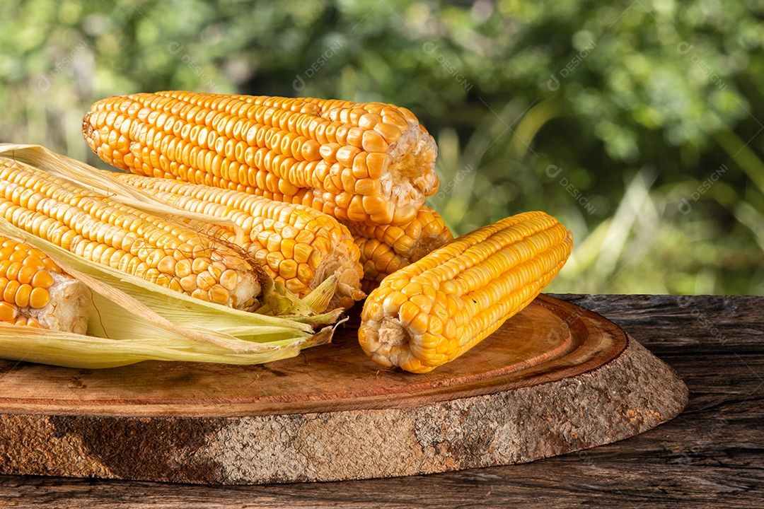 Milho amarelo fresco em madeira rústica e fundo desfocado verde.
