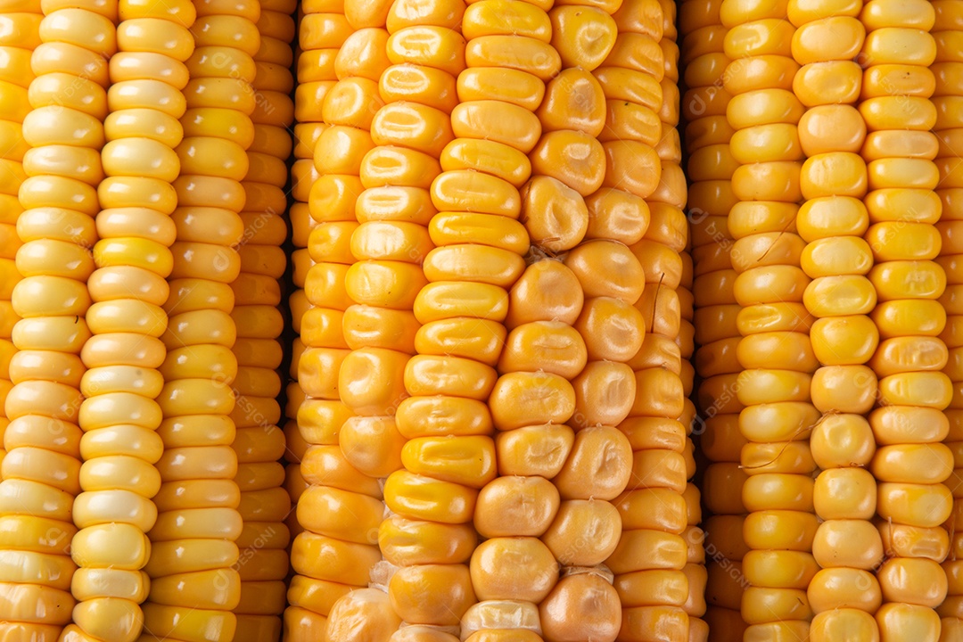 A textura do milho amarelo fresco