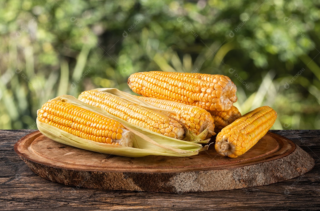 Milho amarelo fresco na cesta sobre madeira rústica e fundo desfocado verde