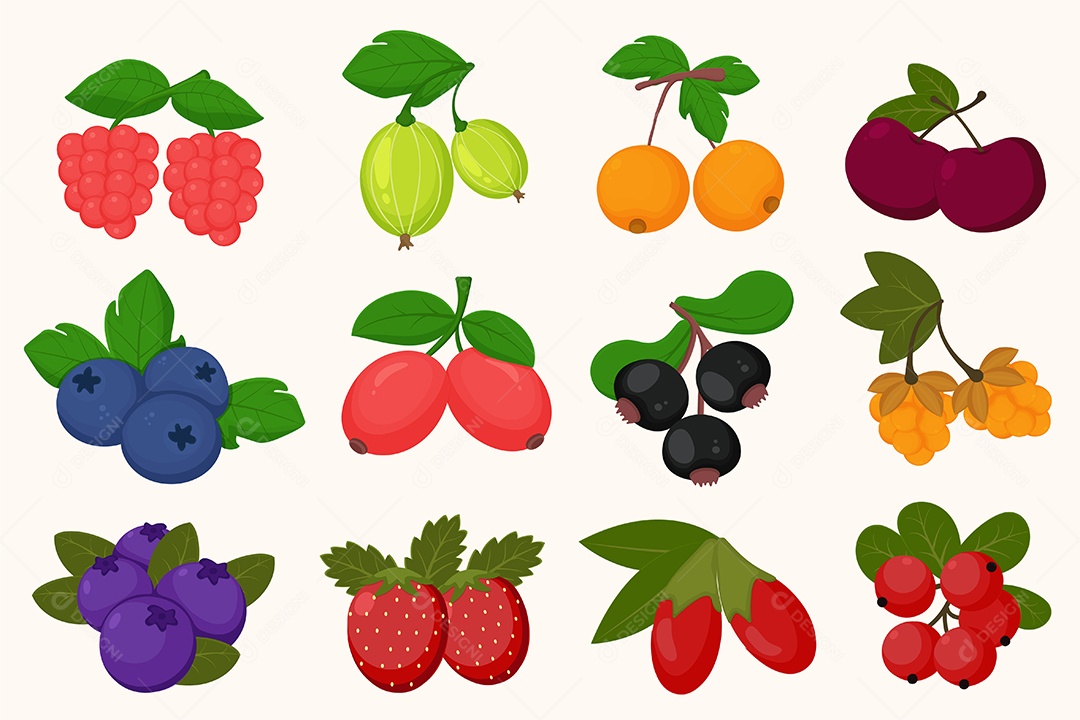 Desenhos De Várias Frutas Vetor AI + EPS