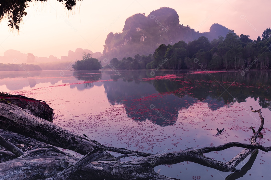 Paisagem Natureza Vista do Lago Nong Thale em Krabi Tailândia